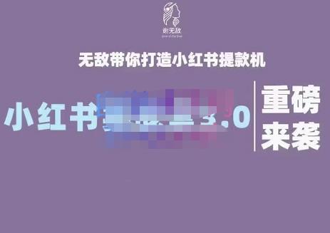 谢无敌小红书实战营3.0，无敌带你打造小红书提款机